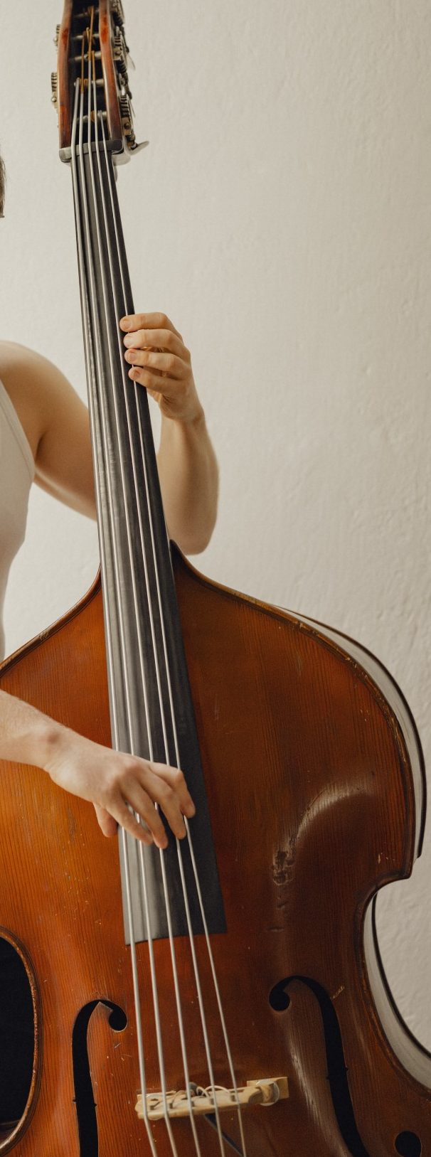 Lukas Growe 5-String Bass ©Ana Torres Five String Doublebass pizzed